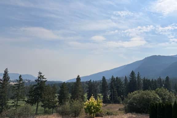 Yellow Shed Ranch Farm Cottage - Image 1